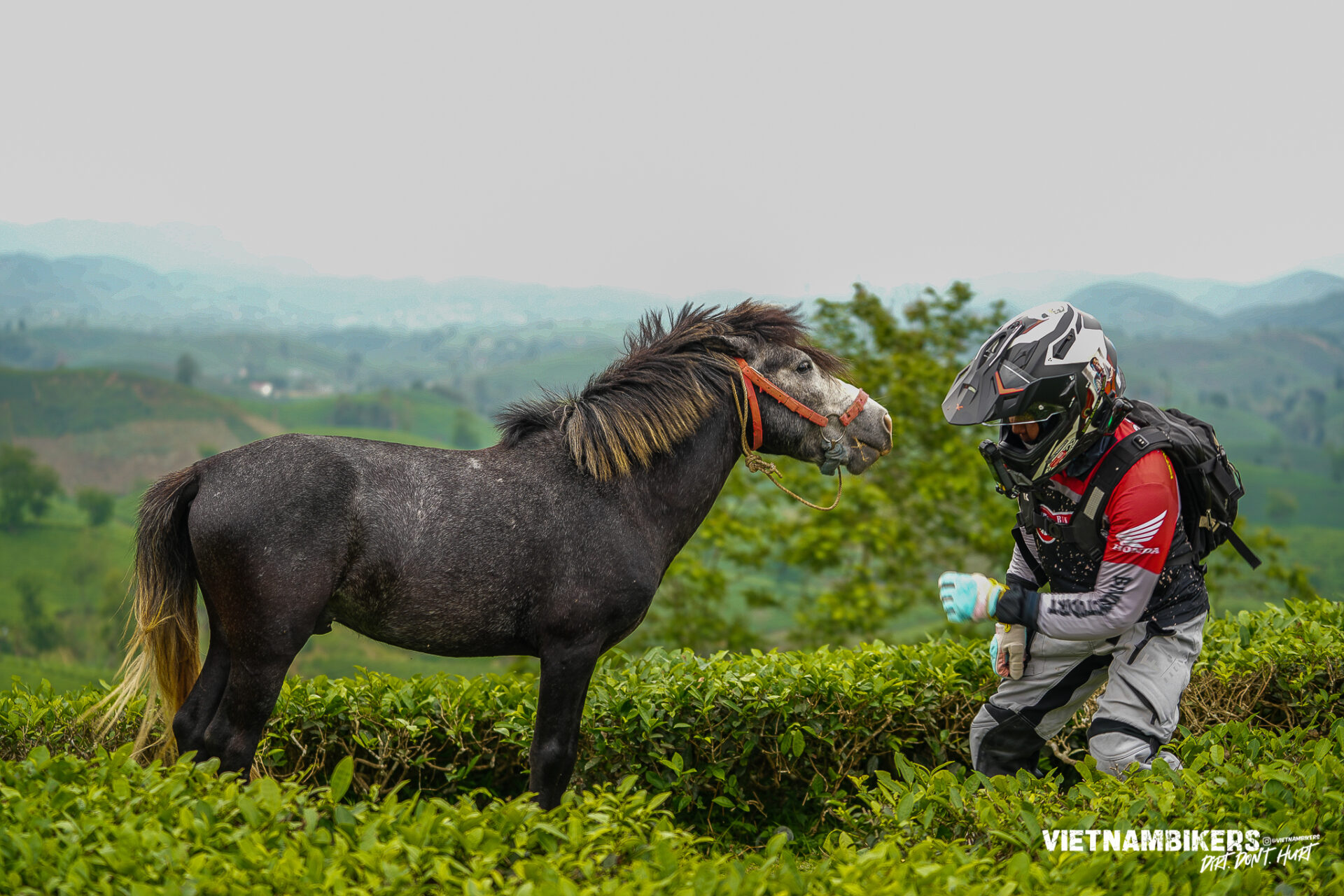 Off-Road Adventure of a Lifetime: The Ultimate Dirt Bike Experience (2026) - VietnamBikers Tours Off-Road Adventure of a Lifetime - Motorbike Tour VietnamBikers