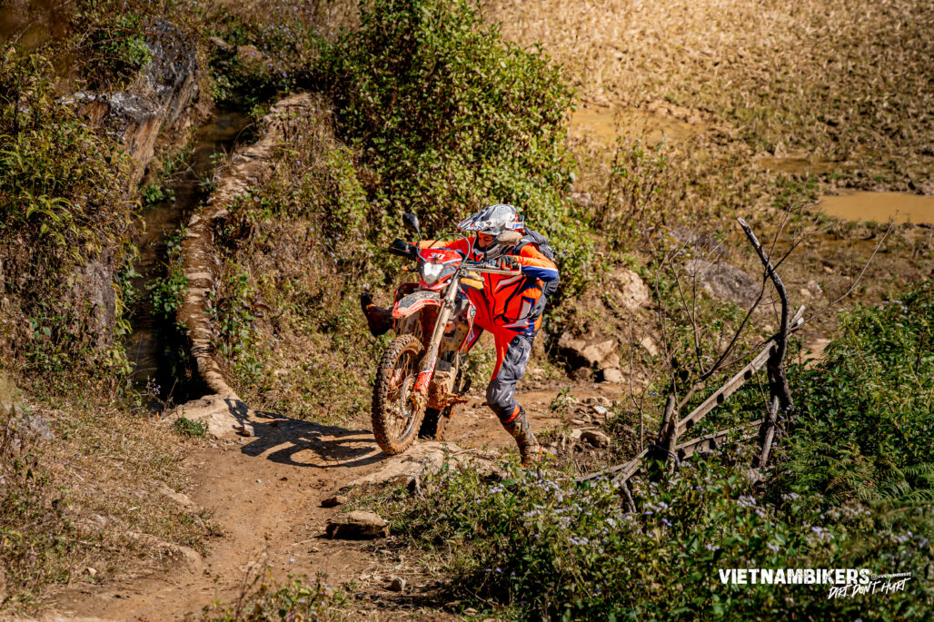 Ténéré 700 vs CRF300L: Which Bike Is Best for Vietnam? (2026 Guide) - VietnamBikers Tours Pro Insight (Real Vietnam Riding)