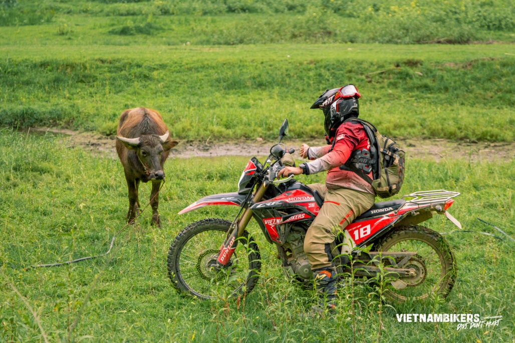 Honda CRF300L — The Off-Road Workhorse