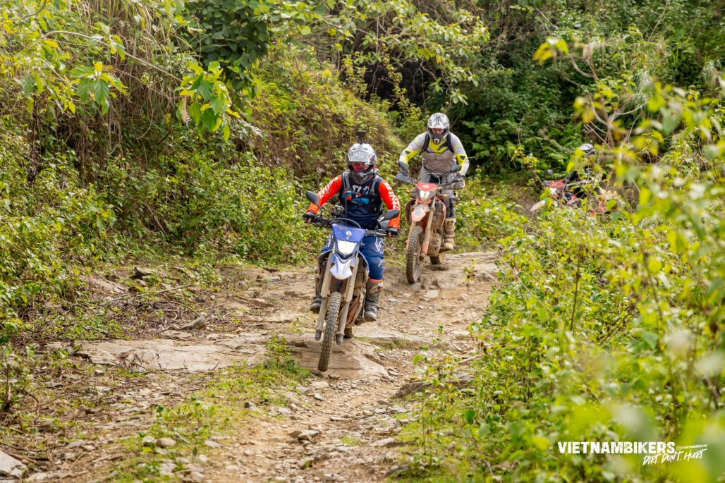 Vietnam Motorbike Tours: The Complete 2026 Guide - VietnamBikers Tours Vietnam Motorbike Tours: The Complete 2026 Guide - Motorbike Tour VietnamBikers