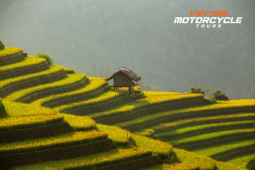 Sapa Motorcycle Tours - a new adventure and experience for you in Vietnam 2 The ideal time to travel to Sapa by motorcycle