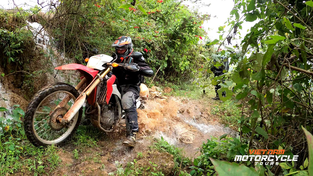 How will the Vietnam Motorcycle Tours Company serve tourists? 4 Vietnam Motorcycle Tours Company