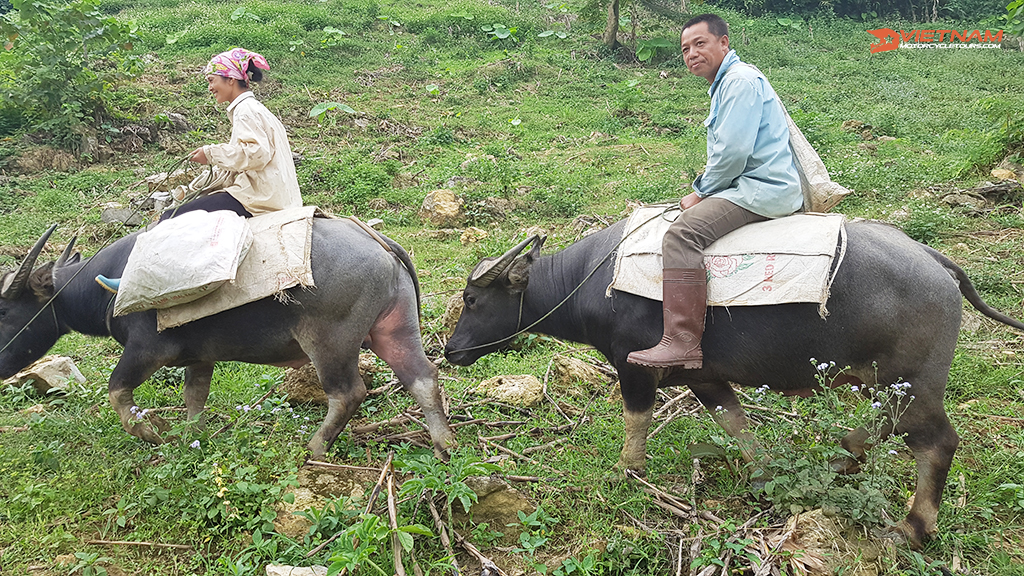 Experience With Motorcycle Tours Vietnam Laos 3 Motorcycling from Hanoi to Mai Chau (Hoa Binh)
