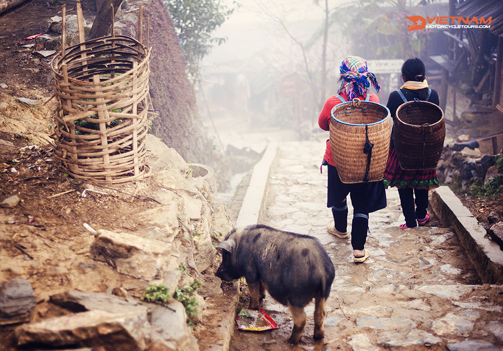 Experience With Motorcycle Tours Vietnam Laos 9 vietnamese woman walking to sapa